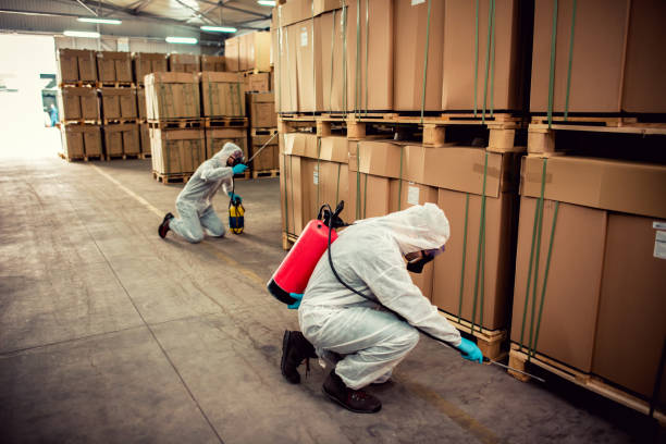 Best Bed Bug Extermination  in King Of Prussia, PA
