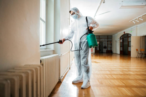 Best Affordable Pest Control Services  in King Of Prussia, PA