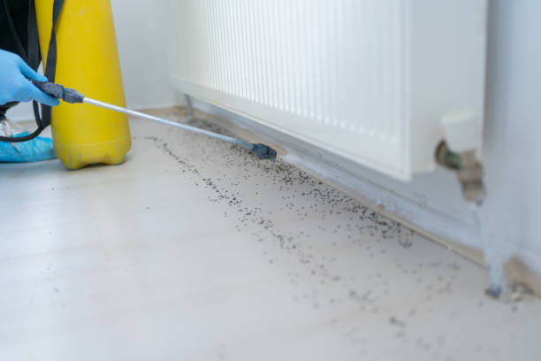 Reliable King Of Prussia, PA Pest Control Solutions